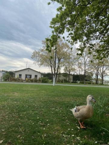 Ashburton Holiday Park المظهر الخارجي الصورة